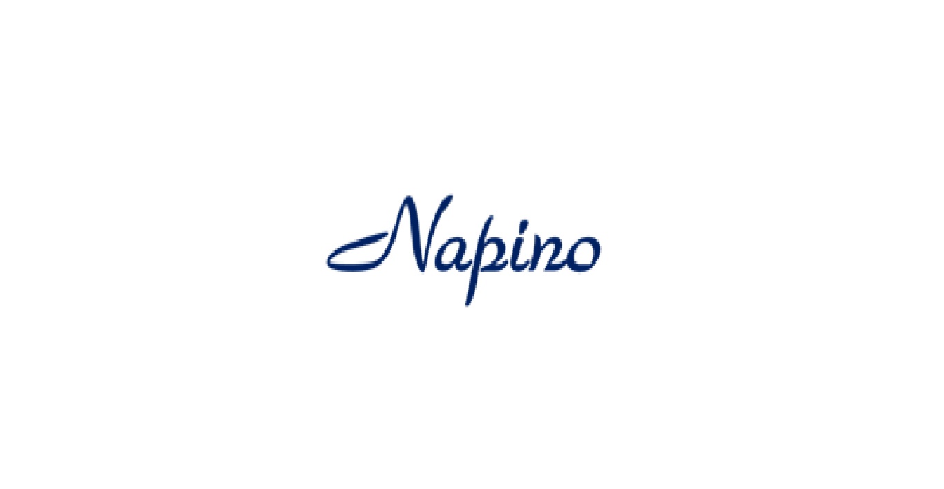 Napino Auto and Electronics Ltd.