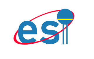 Electro Service (India)