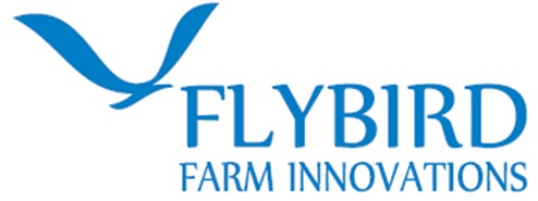 Flybird