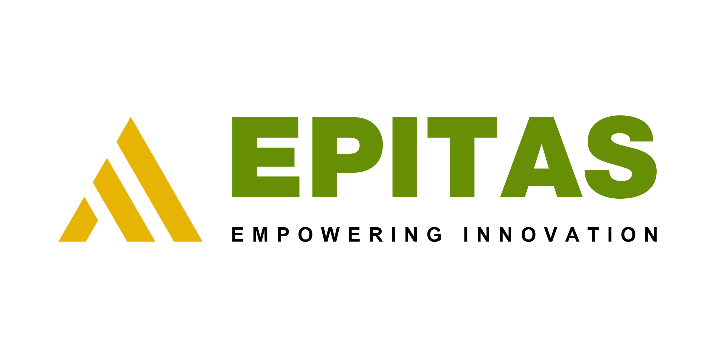 Epitas Software