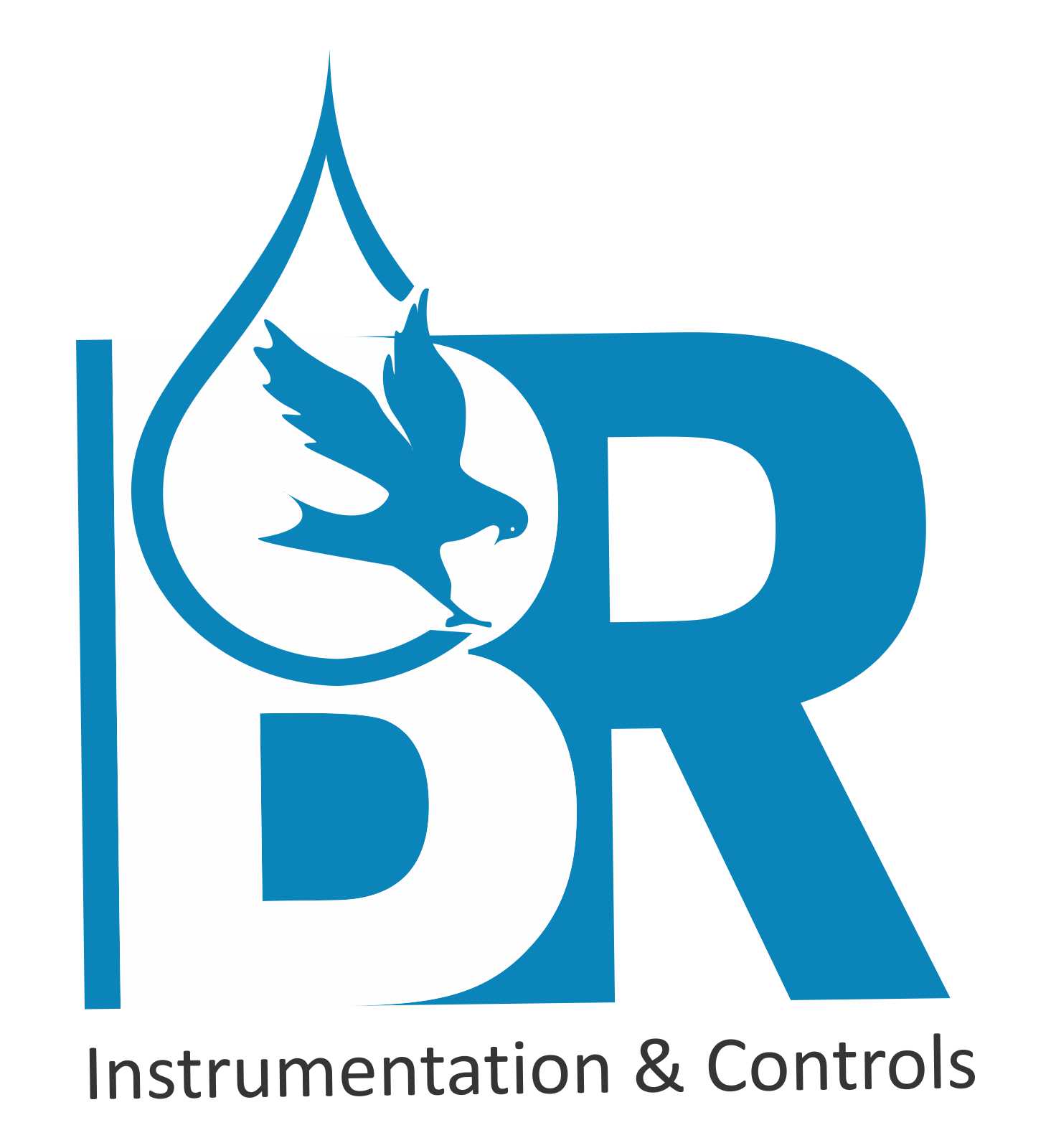 BR Instrumentation & Controls