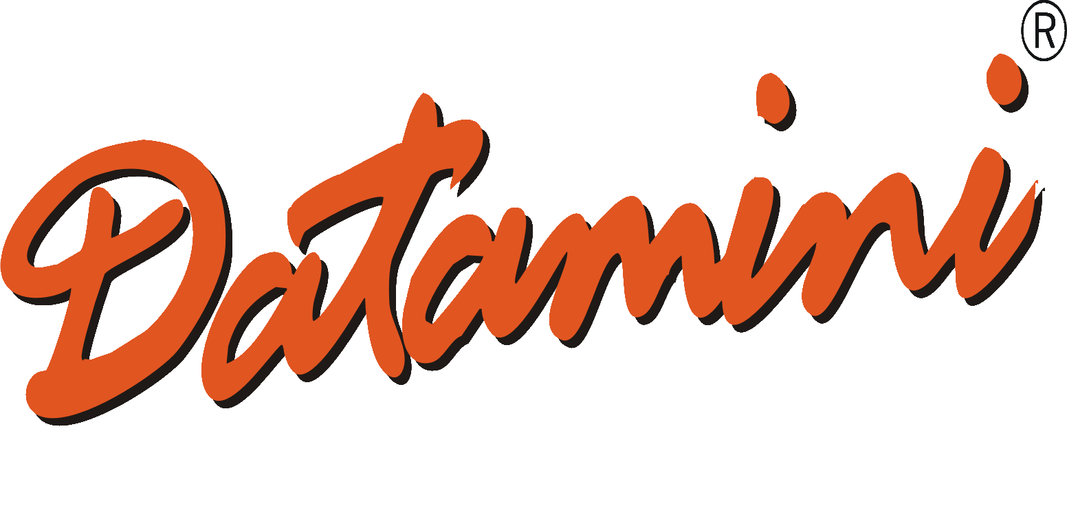 Datamini Technologies India Limited