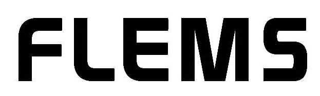 Flems Technology India Pvt Ltd