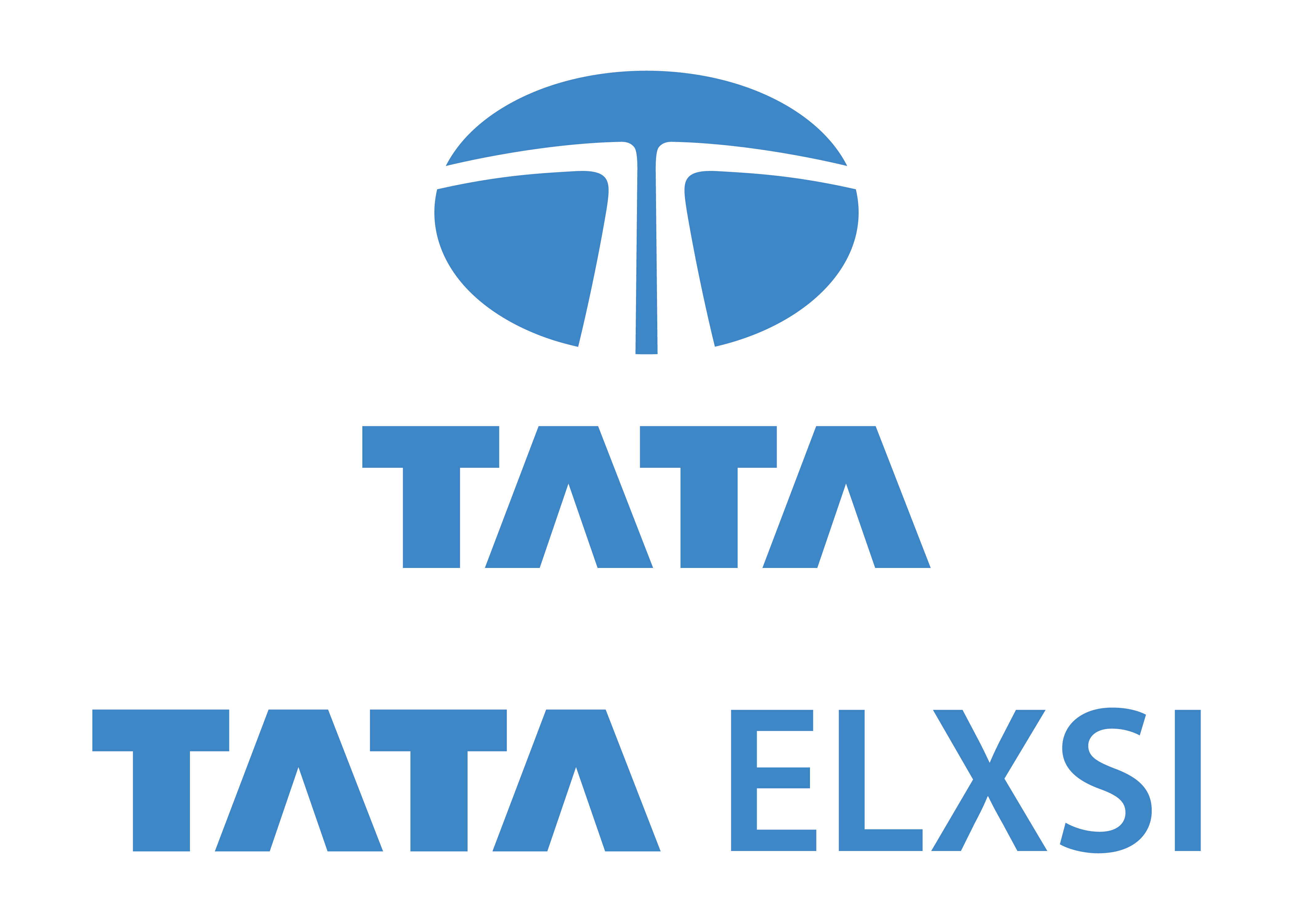 Tata Elxsi