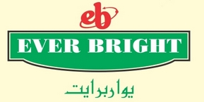 Everbright Electronics