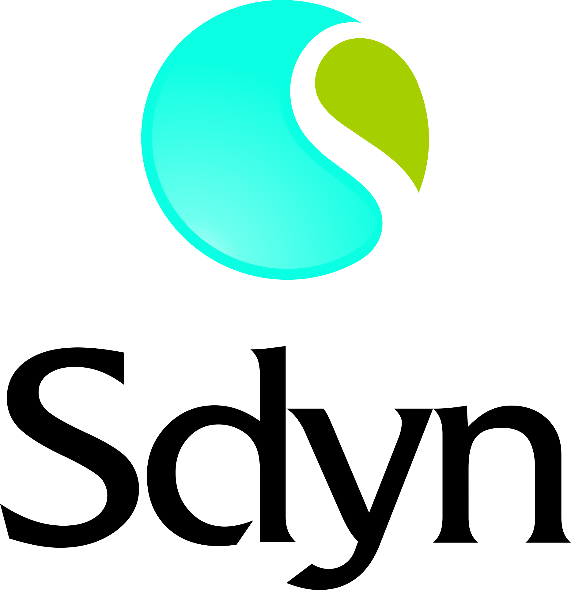 Saraswati Dynamics Pvt. Ltd.