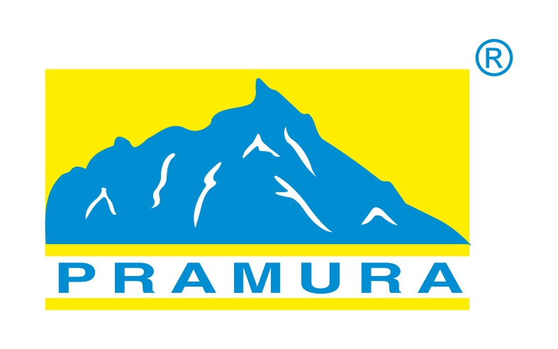 Pramura Software Pvt.Ltd.